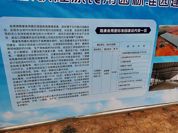 公司环境