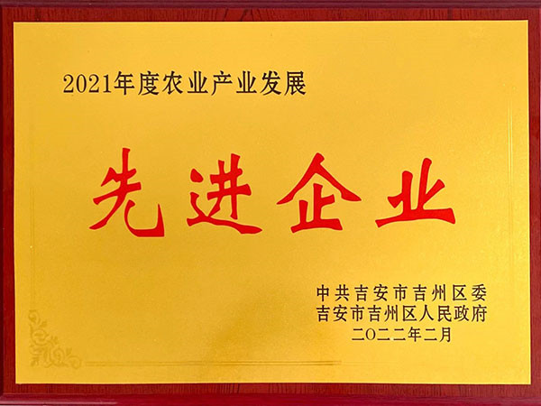 先进企业